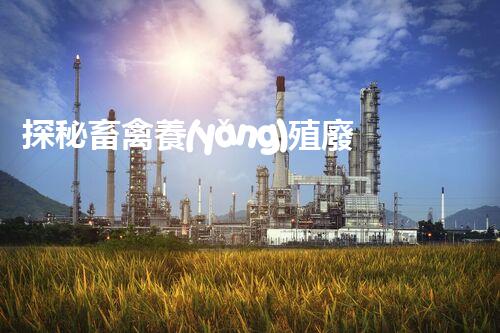 探秘畜禽養(yǎng)殖廢水處理工藝的未來之路？